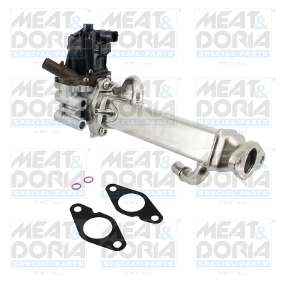 EGR Module